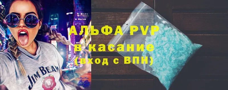 A PVP СК  Каргополь 